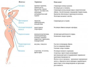 Анализы на гормоны. Зачем они нужны?