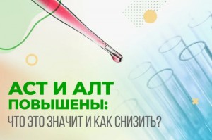 АЛТ и АСТ повышены – что делать